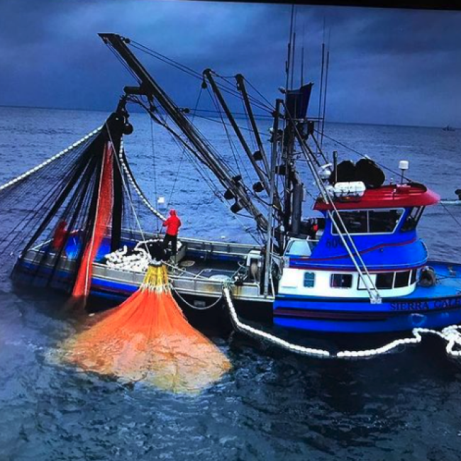 WildCaught Seafood in Montana Peeler's Wild Alaska Seafood